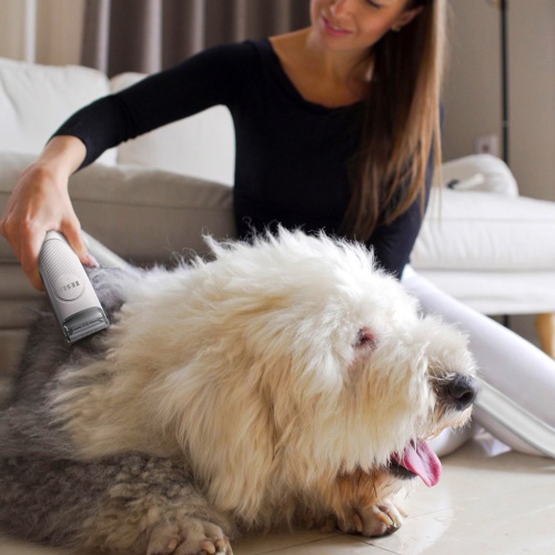 Strihanie psa s TESLA PetCare Station Pro TQ500