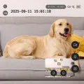 TESLA SecureQ SC10 - vnútorná inteligentná kamera s Wi-Fi