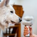 TESLA PetCare Station TQ500 Pro - sada pre starostlivosť o srsť domácich maznáčikov