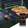 TESLA Cook BBQ150 - Smart teplotná sonda