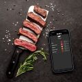 TESLA Cook BBQ150 - Smart teplotná sonda