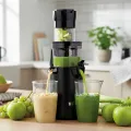 TESLA SlowJuicer SJ500 XL - nízkootáčkový šnekový odšťavovač