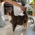 TESLA PetCare Station TQ500 Pro - sada pre starostlivosť o srsť domácich maznáčikov