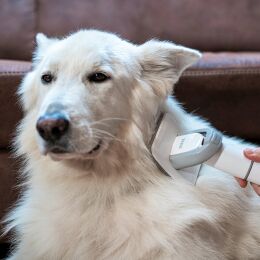 TESLA PetCare Station TQ500 Pro - sada pre starostlivosť o srsť domácich maznáčikov